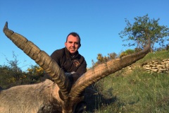 Beceite Ibex