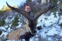 Beceite Ibex