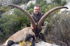Beceite Ibex