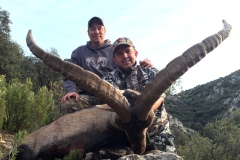 spain ibex beceite