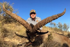 ibex hunting spain