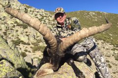 excelente gredos ibex