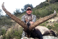 ibex beceite