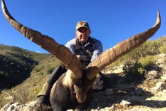 Beceite Ibex hunting