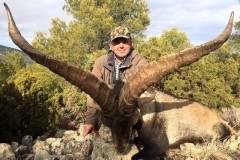 hunting ibex beceite
