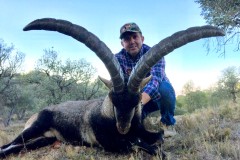 beceite ibex hunting