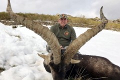 ibex de gredos