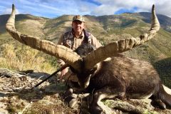 espectacular ibex gredos