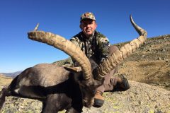 ibex gredos hunting