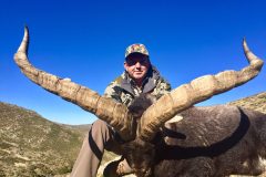 gredos ibex 2017