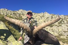 hunting spain ibex