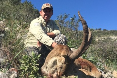 ronda ibex