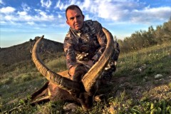 ronda ibex