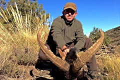 ronda ibex