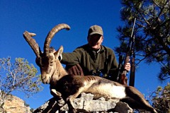 ronda ibex