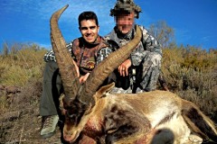 ronda ibex
