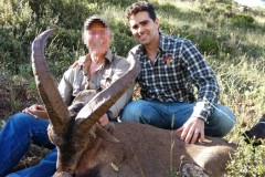 ronda ibex