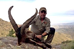 ronda ibex hunting