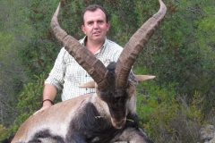 sierra nevada ibex hunting