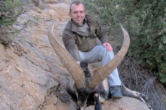 sierra nevada ibex hunting