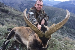 sierra nevada ibex hunting