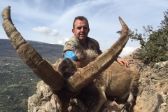 sierra nevada ibex hunting