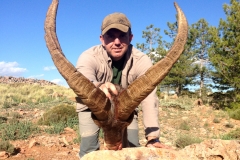sierra nevada ibex hunting