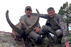 sierra nevada ibex hunting