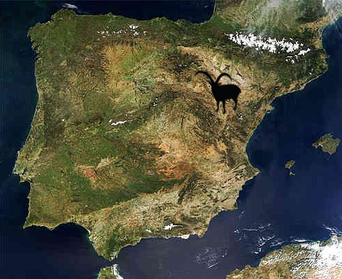 beceite ibex map