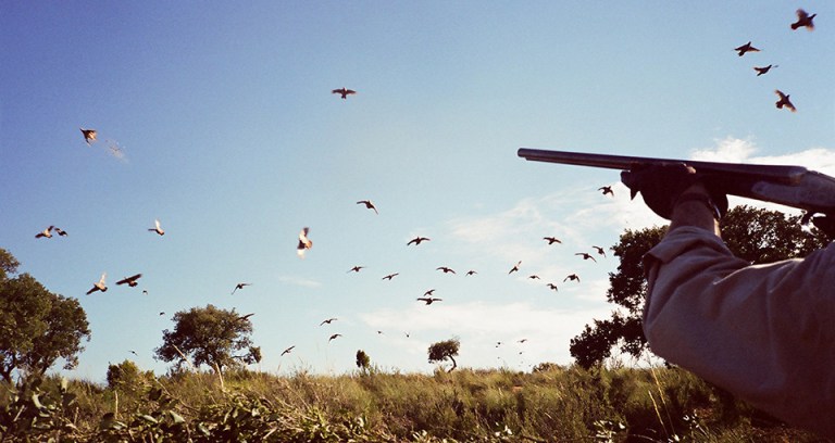 Partridge hunting