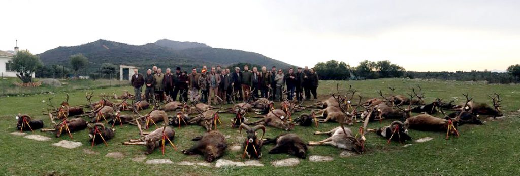monteria cazasport
