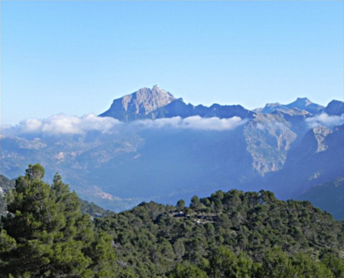tramontana