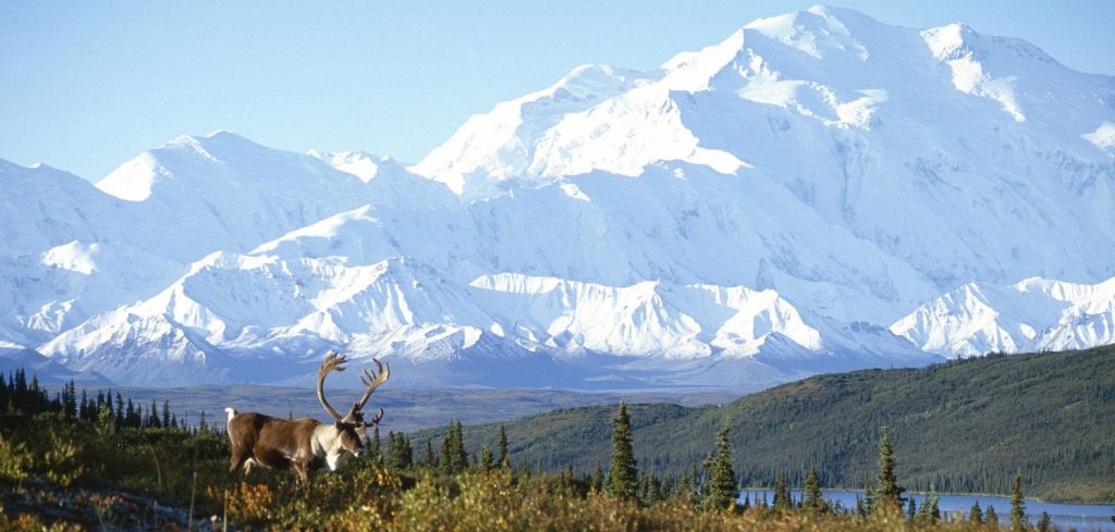 alaska-landscape