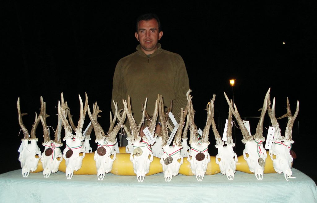 trofeos de corzos