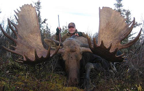 moose-kamchatka