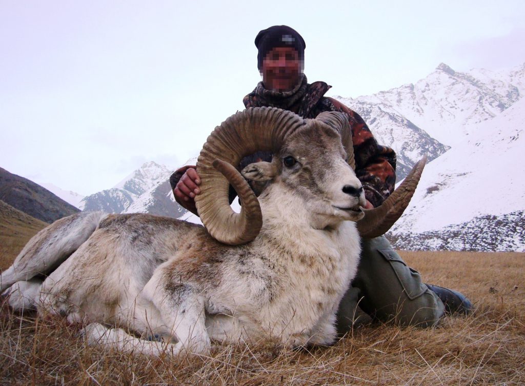 mongolia-argaly