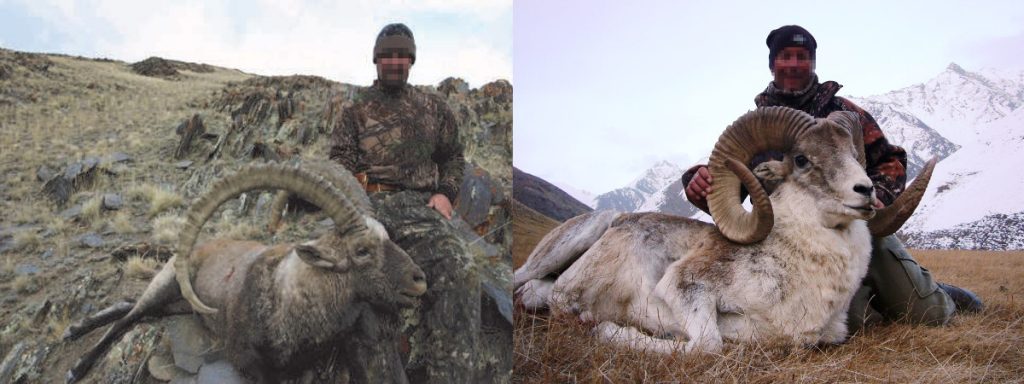 hunt in mongolia