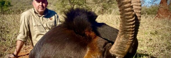 Safari in South Africa and Namibia