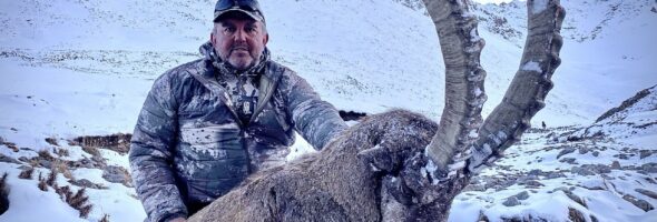Caza de Ibex en Asia Central Kirgizstan