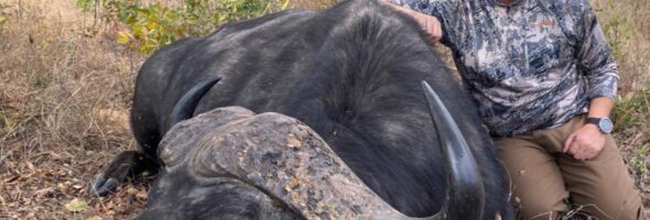 Safaris Zimbabue